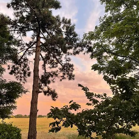 Ferme De Maillezais Frühstückspension L'Houmeau