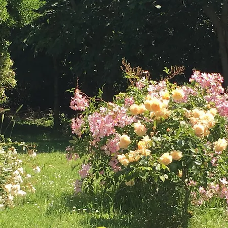 Bed & Breakfast Ferme De Maillezais 3*