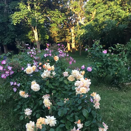 Ferme De Maillezais Bed & Breakfast L'Houmeau