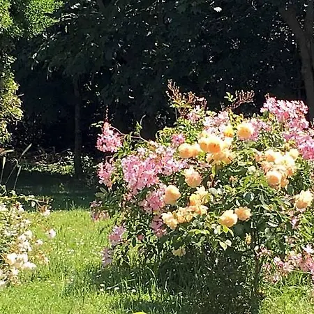 Ferme De Maillezais Bed & Breakfast L'Houmeau