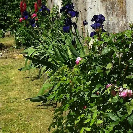 Bed & Breakfast Ferme De Maillezais 3*